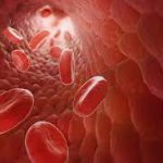 HSC NOTE ON BIOLOGY:BLOOD । এইচএসসি নোটঃ অধ্যায়  রক্ত